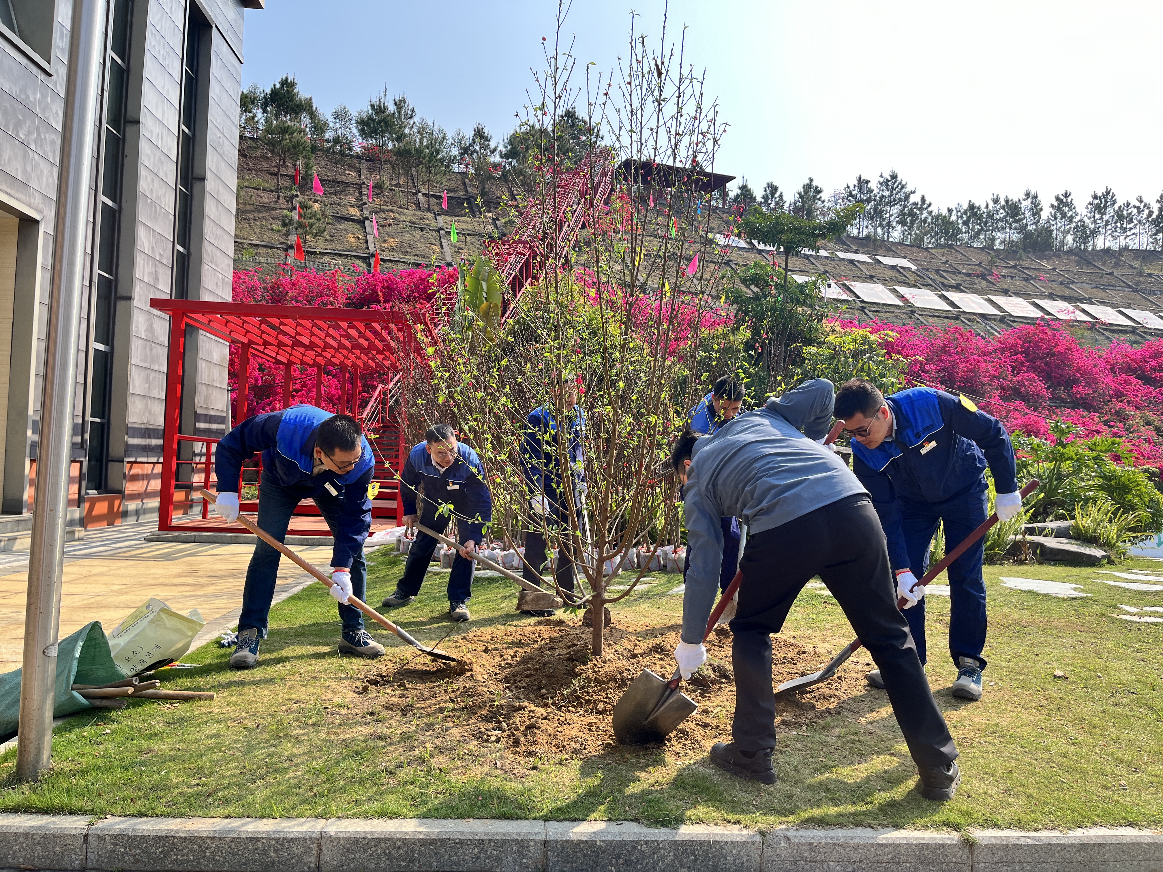 職工在廠區(qū)池塘邊種下首科桃樹.jpg