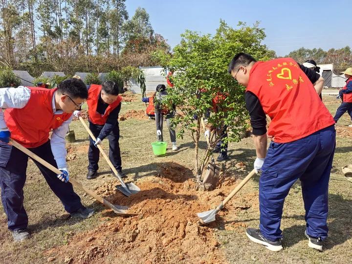 植樹過(guò)程3.jpg